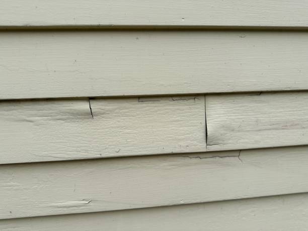 Siding for Multi-Family Homes in Murillo, TX